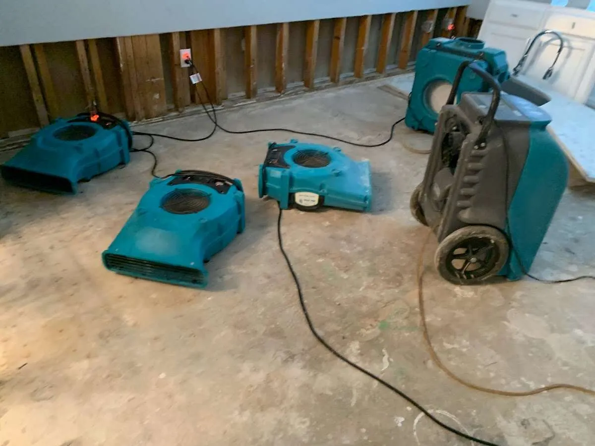 Water Damage Restoration services in Rancho Santa Margarita, CA